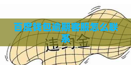 百度钱包逾期客服怎么联系