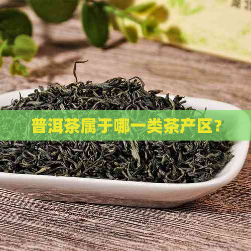 普洱茶属于哪一类茶产区？