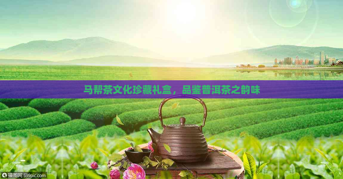 马帮茶文化珍藏礼盒，品鉴普洱茶之韵味