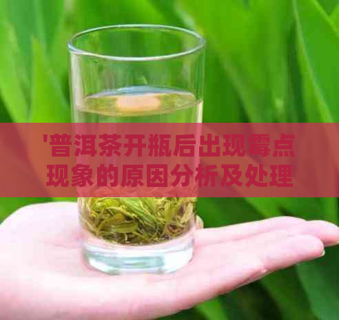 '普洱茶开瓶后出现霉点现象的原因分析及处理方法'