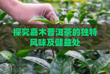 探究嘉木普洱茶的独特风味及健益处