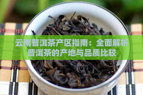 云南普洱茶产区指南：全面解析普洱茶的产地与品质比较