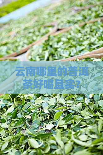 云南哪里的普洱茶好喝且实？