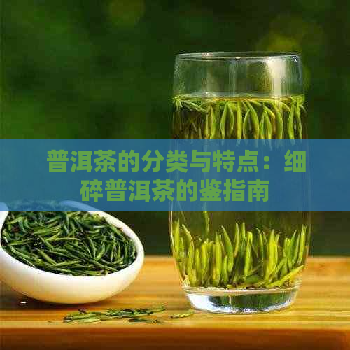 普洱茶的分类与特点：细碎普洱茶的鉴指南