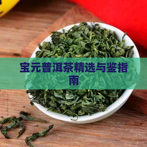 宝元普洱茶精选与鉴指南