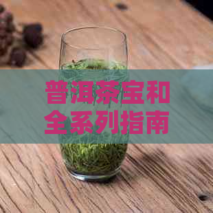 普洱茶宝和全系列指南：从入门到专家的完整指南