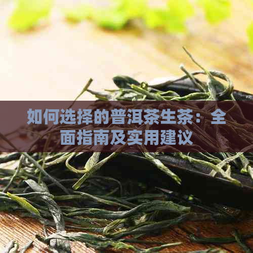 如何选择的普洱茶生茶：全面指南及实用建议