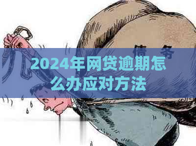 2024年网贷逾期怎么办应对方法