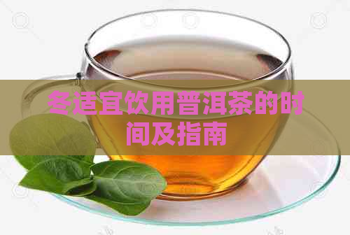 冬适宜饮用普洱茶的时间及指南