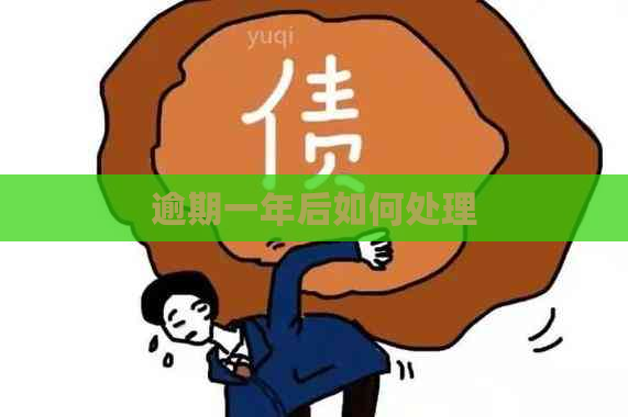 逾期一年后如何处理