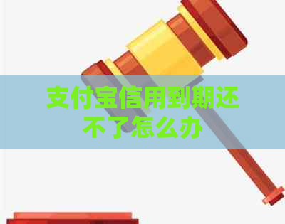 支付宝信用到期还不了怎么办