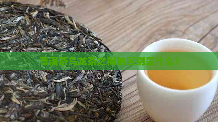 普洱茶乌龙茶之间的区别是什么？