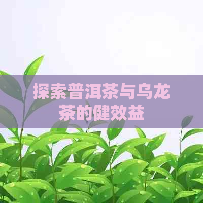 探索普洱茶与乌龙茶的健效益