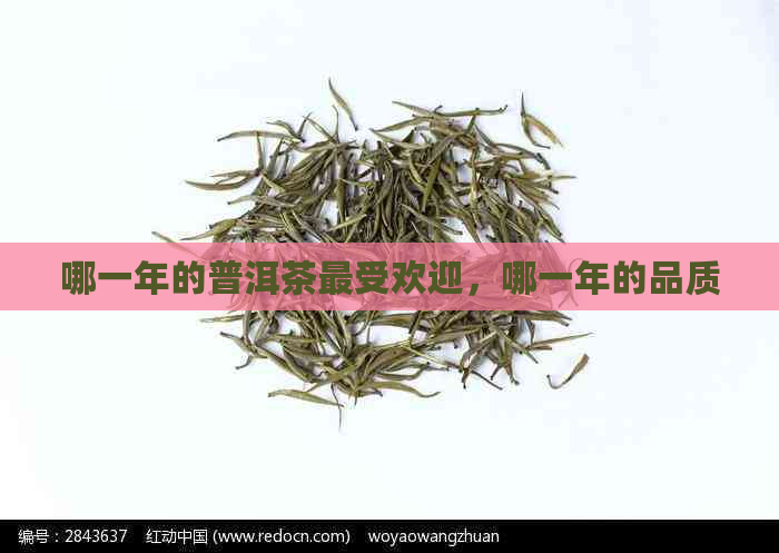 哪一年的普洱茶更受欢迎，哪一年的品质