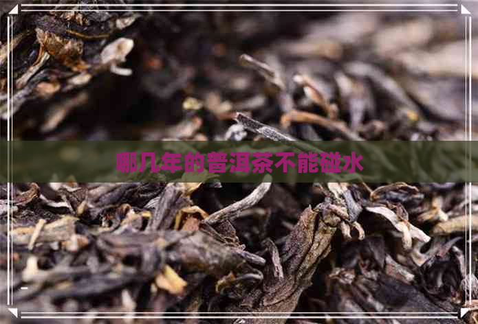 哪几年的普洱茶不能碰水