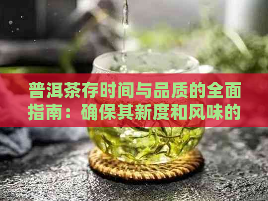 普洱茶存时间与品质的全面指南：确保其新度和风味的长期保存方法