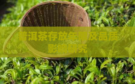 普洱茶存放年限及品质影响研究