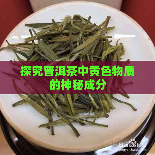 探究普洱茶中黄色物质的神秘成分