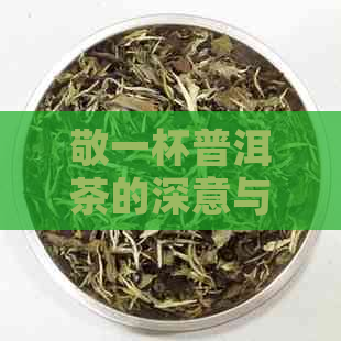 敬一杯普洱茶的深意与文化内涵