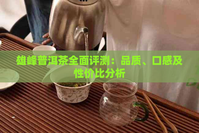 雄峰普洱茶全面评测：品质、口感及性价比分析