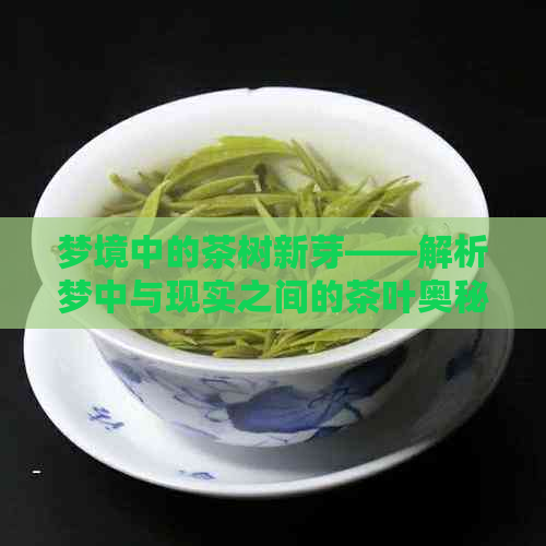 梦境中的茶树新芽——解析梦中与现实之间的茶叶奥秘