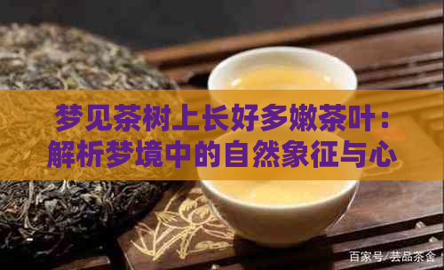 梦见茶树上长好多嫩茶叶：解析梦境中的自然象征与心理寓意