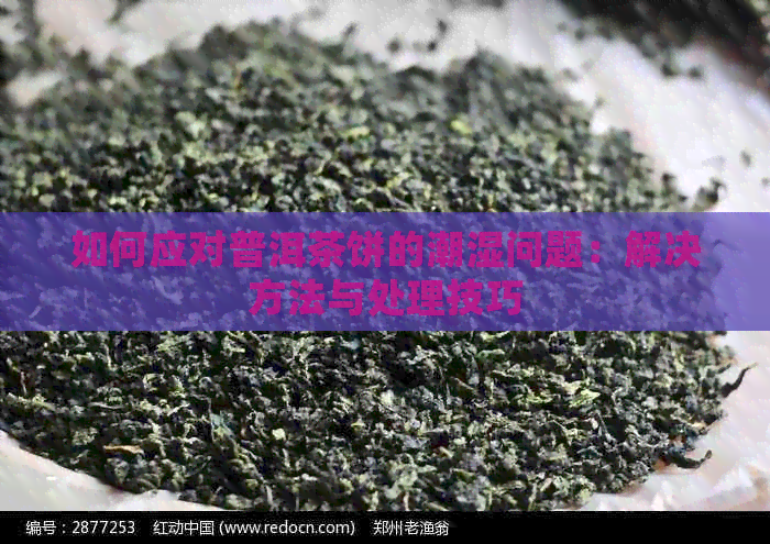 如何应对普洱茶饼的潮湿问题：解决方法与处理技巧