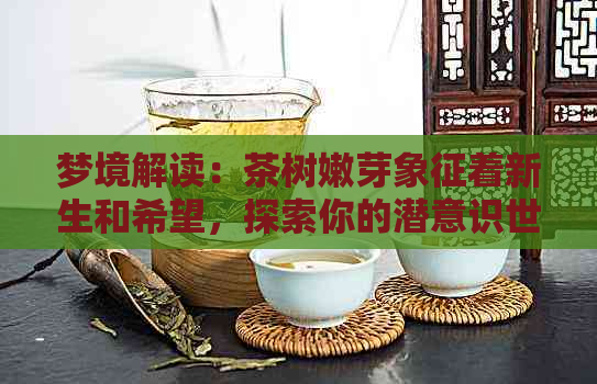 梦境解读：茶树嫩芽象征着新生和希望，探索你的潜意识世界