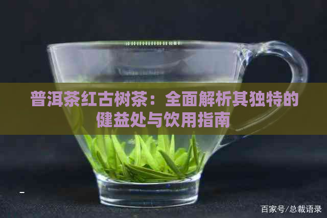 普洱茶红古树茶：全面解析其独特的健益处与饮用指南