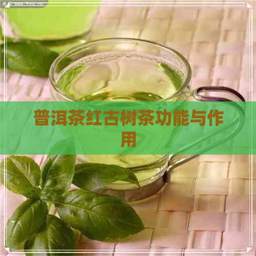 普洱茶红古树茶功能与作用