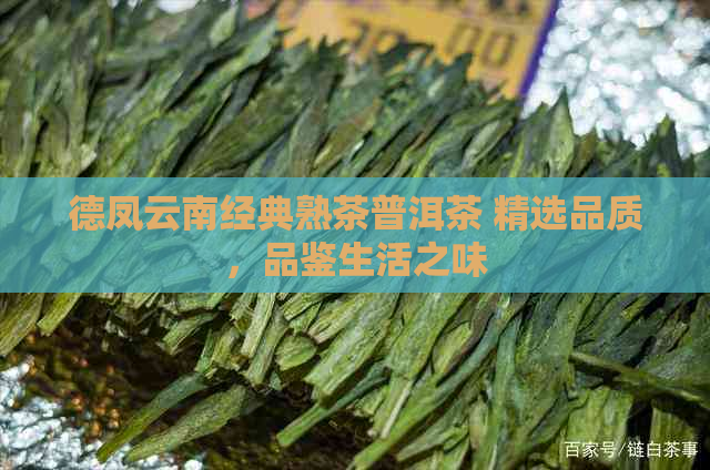 德凤云南经典熟茶普洱茶 精选品质，品鉴生活之味