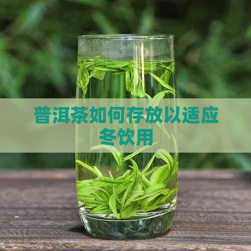 普洱茶如何存放以适应冬饮用