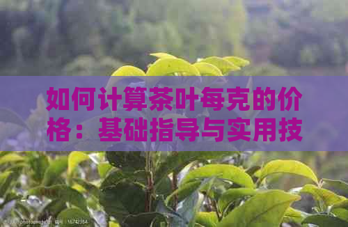 如何计算茶叶每克的价格：基础指导与实用技巧