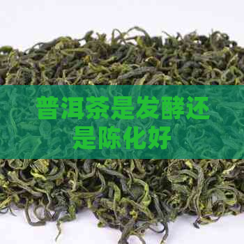 普洱茶是发酵还是陈化好