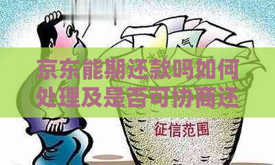 京东能期还款吗如何处理及是否可协商还款