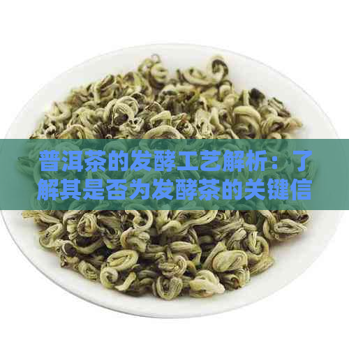 普洱茶的发酵工艺解析：了解其是否为发酵茶的关键信息