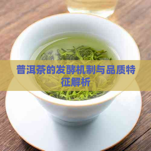 普洱茶的发酵机制与品质特征解析