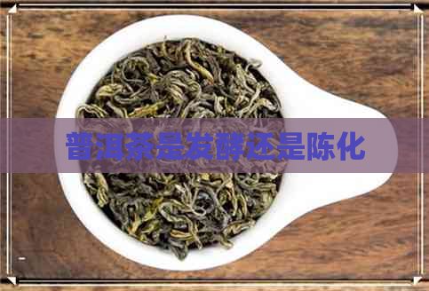 普洱茶是发酵还是陈化