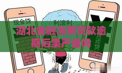 湖北金融消费贷款逾期后果严重吗