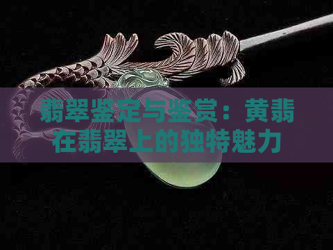 翡翠鉴定与鉴赏：黄翡在翡翠上的独特魅力