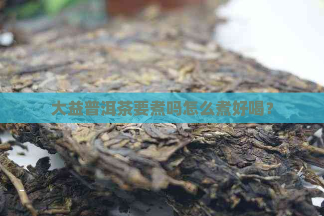 大益普洱茶要煮吗怎么煮好喝？