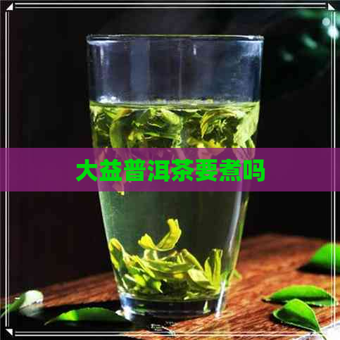 大益普洱茶要煮吗