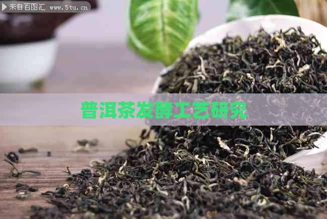 普洱茶发酵工艺研究