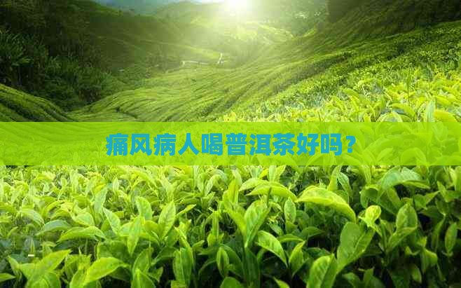 痛风病人喝普洱茶好吗？