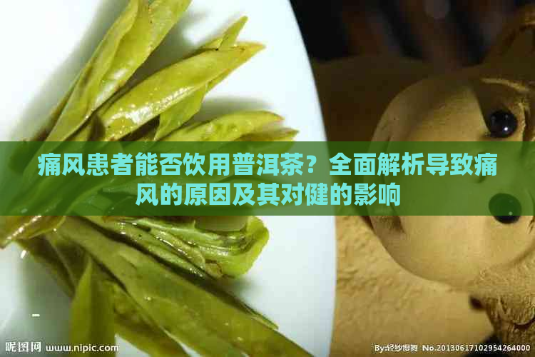 痛风患者能否饮用普洱茶？全面解析导致痛风的原因及其对健的影响