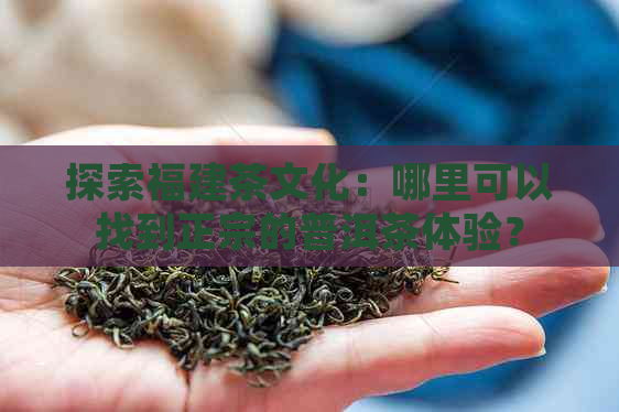 探索福建茶文化：哪里可以找到正宗的普洱茶体验？