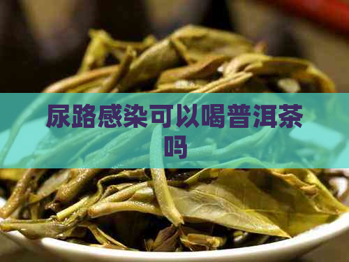 尿路感染可以喝普洱茶吗