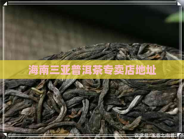 海南三亚普洱茶专卖店地址