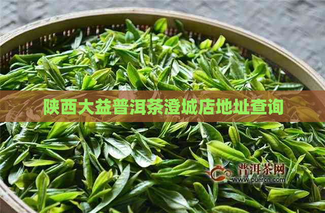 陕西大益普洱茶澄城店地址查询