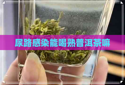 尿路感染能喝熟普洱茶嘛